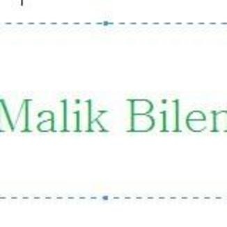Malik Bilen